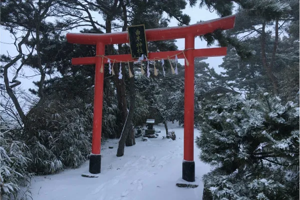 元旦